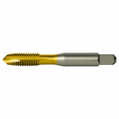 CLEVELAND C83067 Spiral Point Tap Plug RH Metric
