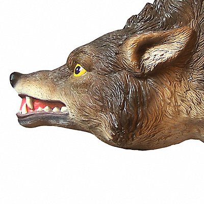 BIRD-X COYOTE3D Coyote Decoy 16 in H Brown/White