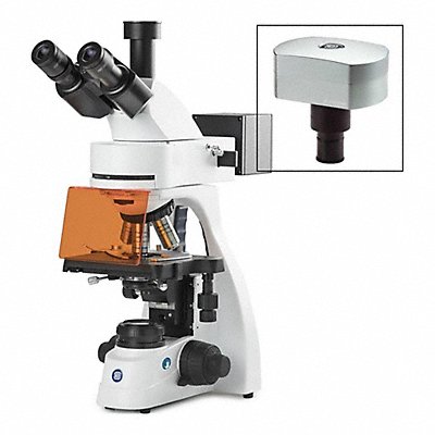 GLOBE SCIENTIFIC EBS3153PLFIDC18 Microscope
