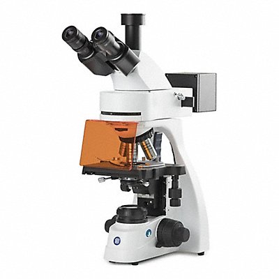GLOBE SCIENTIFIC EBS3153PLFI Microscope