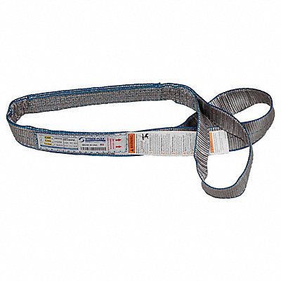 STREN-FLEX EEF4901PGE Web Sling Flat Eye 10 ft L 5 500 lb Cap.
