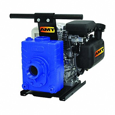 AMT PUMPS 4229V5 Engine Driven Pump Cast Iron 5 hp