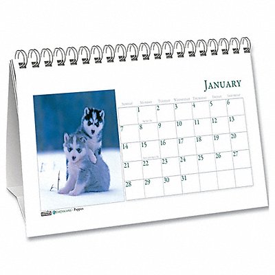 HOUSE OF DOOLITTLE HOD3659 Monthly Calendar Tent 8-1/2x4-1/2 In