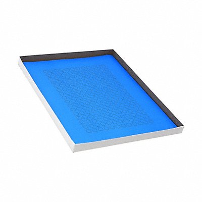GRAINGER GRAINGC31 Cyro Label Blue Polypropylene PK20