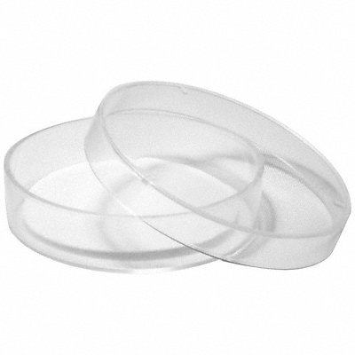 LABEXACT 12K974 Petri Dish 55 x 15 mm 384 Wells PK100