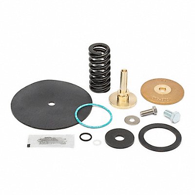 ZURN WILKINS RK114500XL Repair Kit Reduce Valve 1-1/4 In