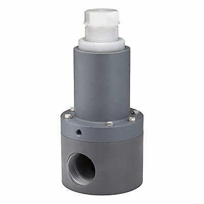 PLAST-O-MATIC RVDTM100TPV Relief Valve 1 In 5 to 100 psi PVC