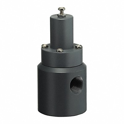 PLAST-O-MATIC RVD025VPV Pressure Relief Valve 1/4In 5 to 100 psi