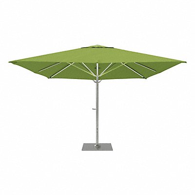 CALIFORNIA UMBRELLA SOLA3380016085 Outdoor Umbrella Pistachio