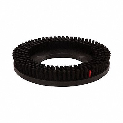 TENNANT SPPV02438 Floor Machine Brush 11 in Dia Black