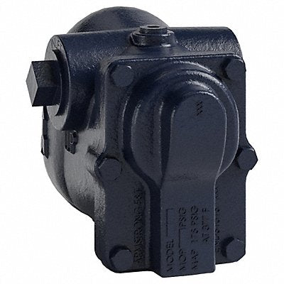 ARMSTRONG INTERNATIONAL 30B4 Steam Trap S Steel 30 psi 1 in
