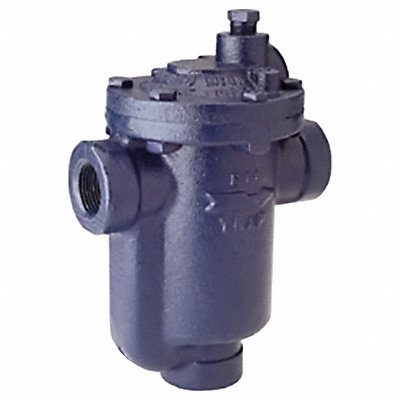 ARMSTRONG INTERNATIONAL 800050150 Steam Trap Stainless Steel 150 psi 1/2in