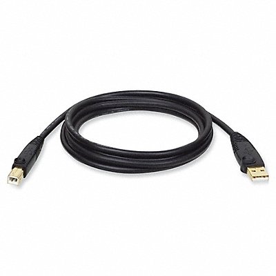 TRIPP LITE U022010 Cable Usb 2.0 A/B 10 ft Black