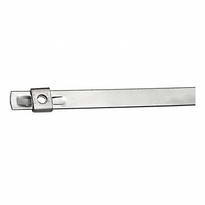 BAND-IT AS2119 Cable Tie 10 L 3 W 304SS PK100