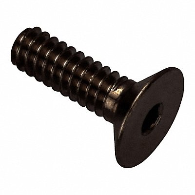 GRAINGER ZHF60204C06BX Flat 100 Head Socket Screw