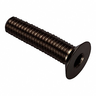 GRAINGER ZHF602M10X60 Socket Head Cap Screw SS 6 mm Drive