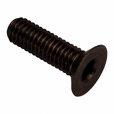 GRAINGER ZHF602M3X10BX Socket Head Cap Screw SS 2 mm Drive