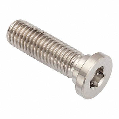 GRAINGER ZUL602M10X30 Socket Head Cap Screw SS 7 mm Drive