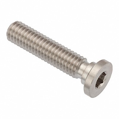 GRAINGER ZUL602M8X20 Socket Head Cap Screw SS 5 mm Drive
