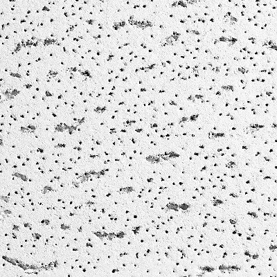 ARMSTRONG 895A Ceiling Tile 48 in L 24 in W PK6