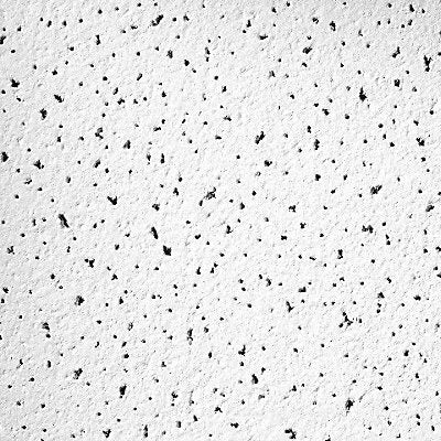 ARMSTRONG 1830 Ceiling Tile 48 in L 24 in W PK8