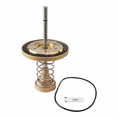 WATTS 90962ndCheckKit Repair Kit Watts Series 909 6 In