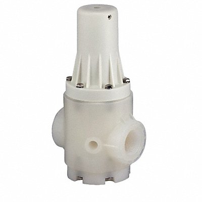 PLAST-O-MATIC PRHM200VPP Pressure Regulator 2 In 10 to 125 psi