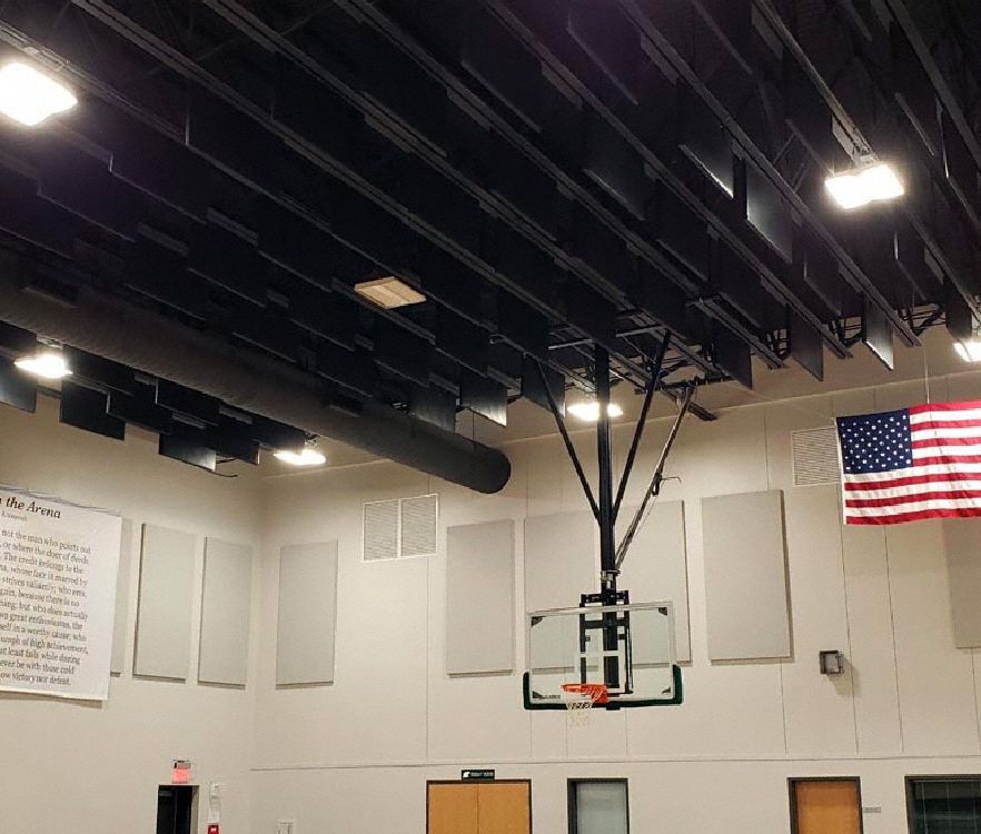 SOUND QUALITY SR100PVC4x2Baffle Ceiling Baffle Black 4x2 PVC PK8