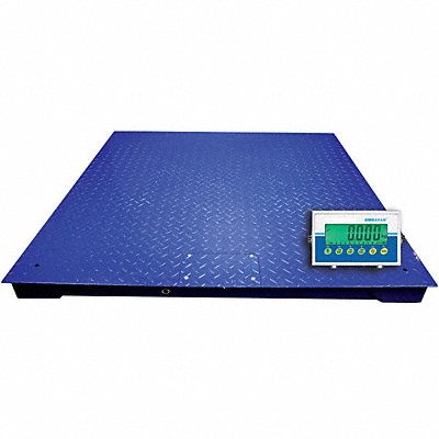 ADAM EQUIPMENT PT3105AE403 Platform Floor Scale Platform Weighing
